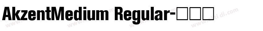 AkzentMedium Regular字体转换